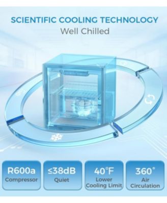 1.3 cu.ft 12 Bottle 48 Can Wine Cooler/Mini Fridge/Beverage Refrigerator Countertop Clear Glass Door for Beer&Soda