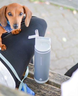 Alpine Flip 'N Sip Insulated, Leakproof Water Bottle, 20 oz.