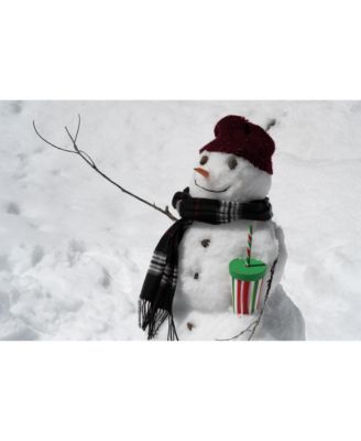 Straw Tumbler 16oz: 2 pk - Peppermint & Poinsettia