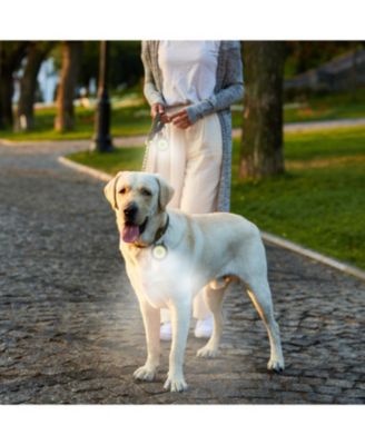 Clip-Brite LED Safety Light for Pets, High Visibility Clip-On Light for Dogs & Cats