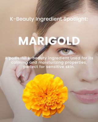 Easy and Rich Brow Pencil