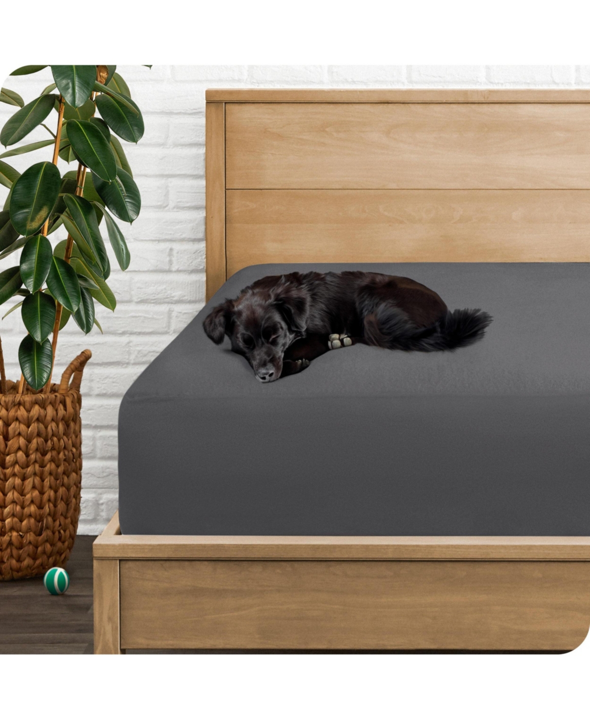 Bare Home Waterproof Mattress Protector