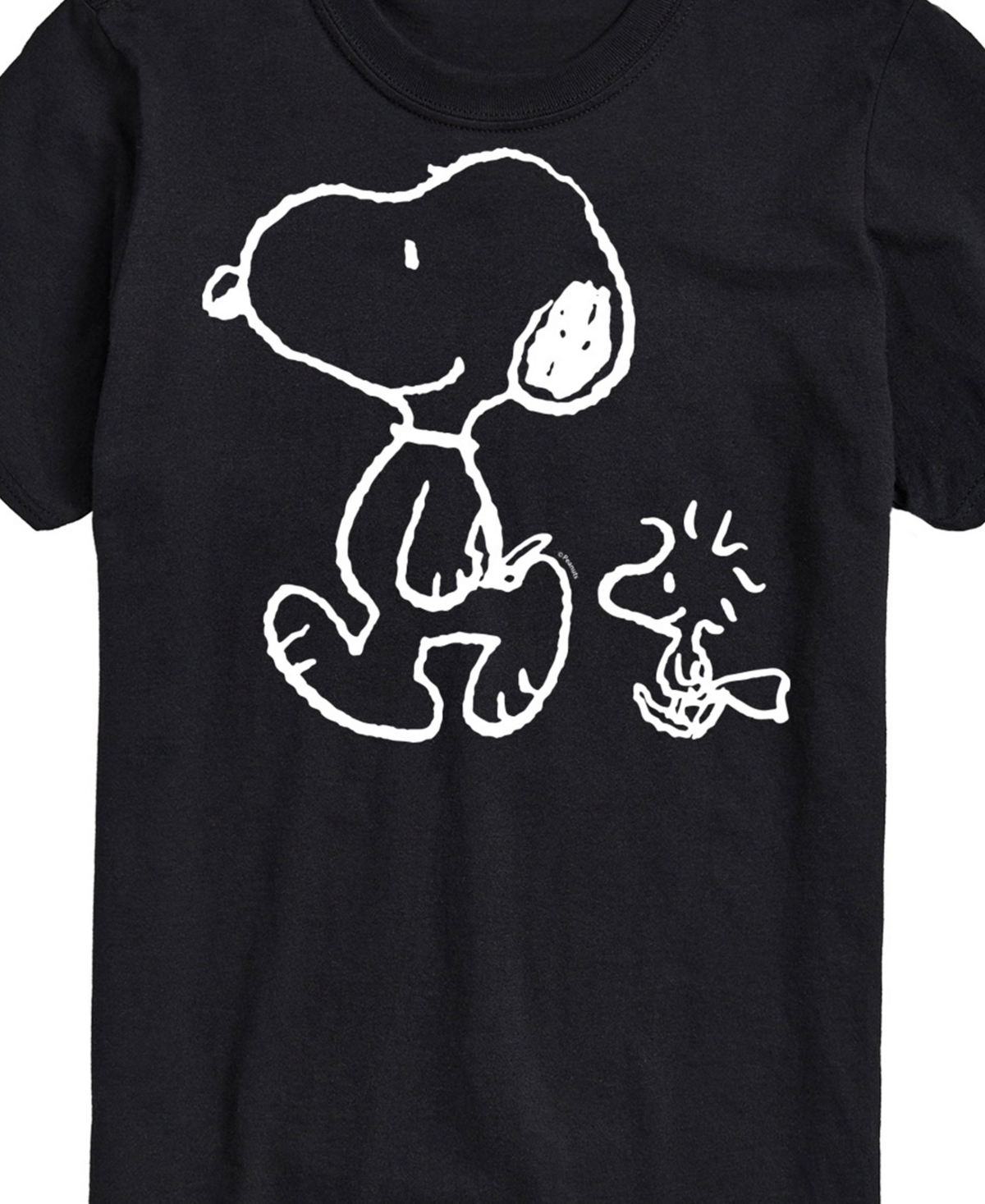 Airwaves Men's Peanuts Snoopy Woodstock Walk Short Sleeve T-shirt In Black