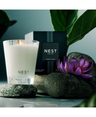 Forest Rain Classic Candle, 8.1 oz.
