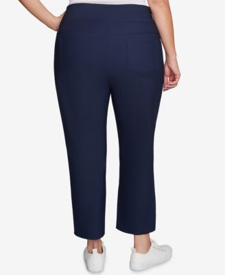 Plus Size Embroidered Ankle Pant