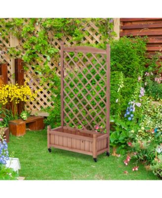 Streamdale 2-Pack Raised Garden Bed with Trellis & Climbing Racks