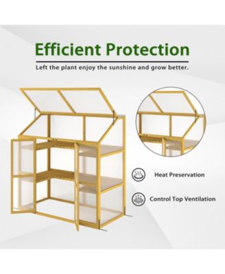 Wooden Garden Greenhouse: Polycarbonate Shed for Plant Protection