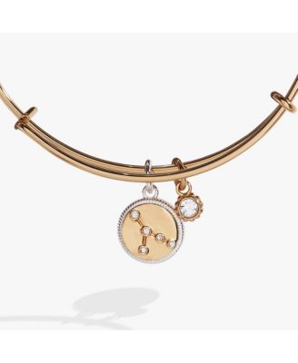 Zodiac Bangle Bracelet Cancer