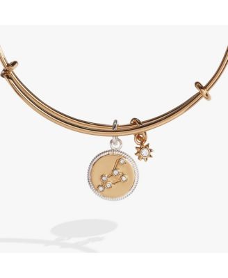 Zodiac Bangle Bracelet Leo