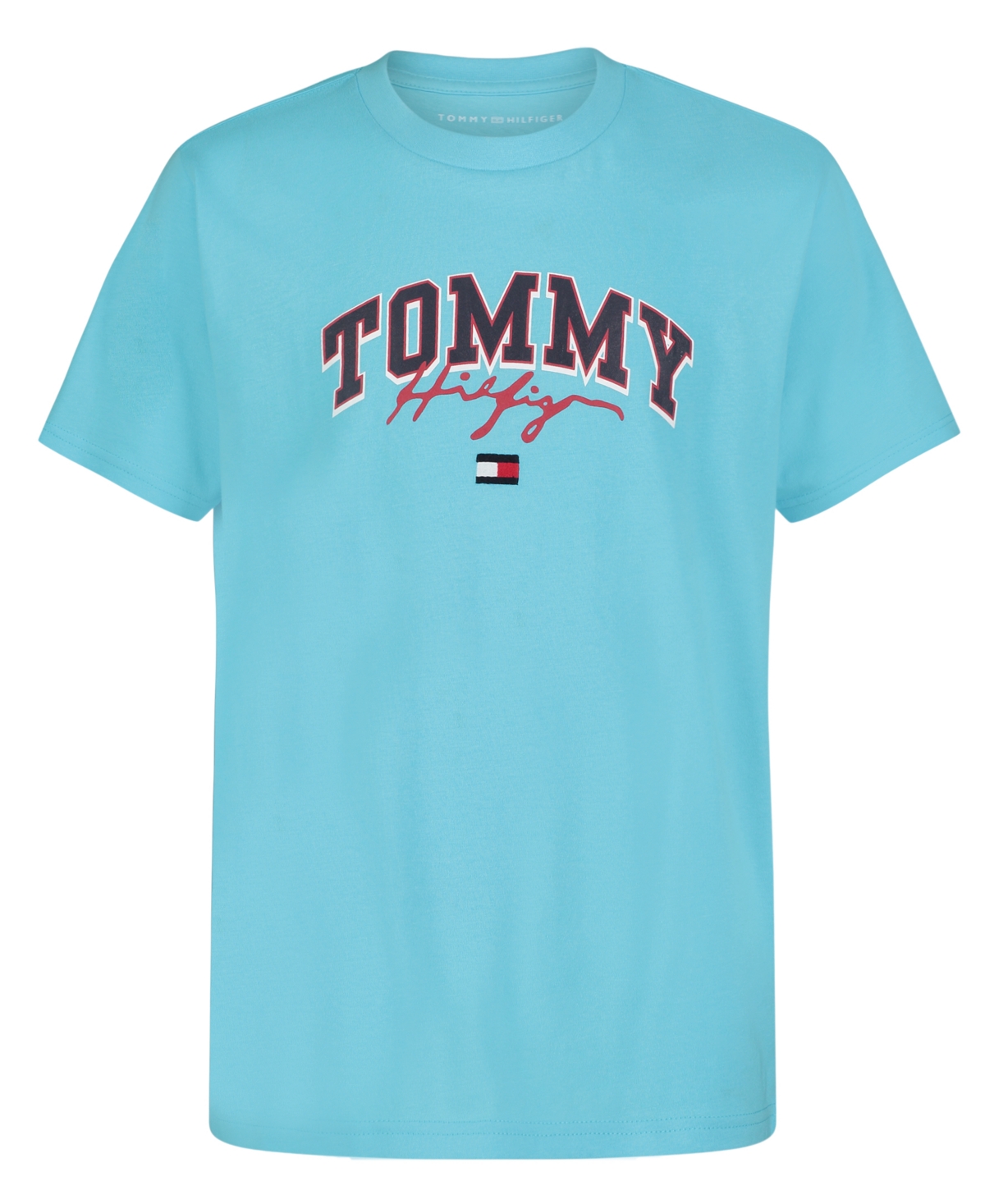 Tommy Hilfiger Kids' Toddler And Little Boys Ivy Center Short Sleeve T-shirt