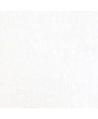 Bodysuit Outfit with Shorts and Socks