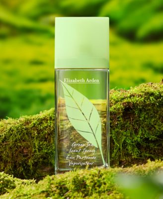 Green Tea Scent Spray, 1.7 fl. oz.