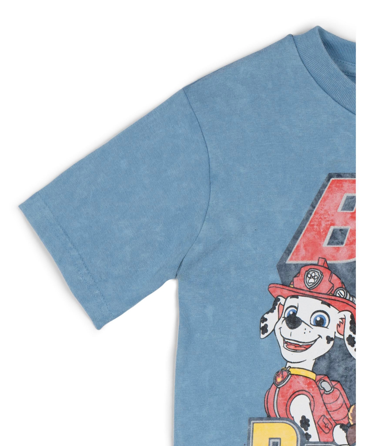 Paw Patrol Little Boys T-Shirt
