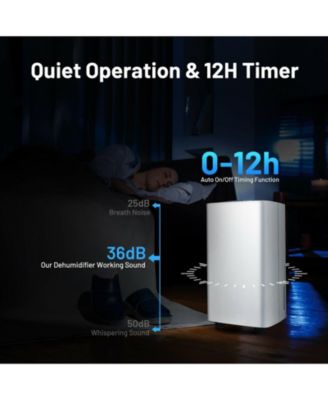 24 Pints 1500 Sq. ft Portable Dehumidifier For Medium To Large Spaces