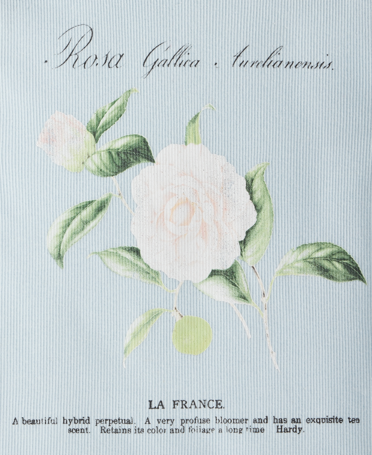 Grayson Threads, The Label Girls 4-8 Floral Short-sleeve T-shirt In Blue