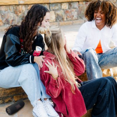 Flip 7 Portable Waterproof And Drop-Proof Speaker