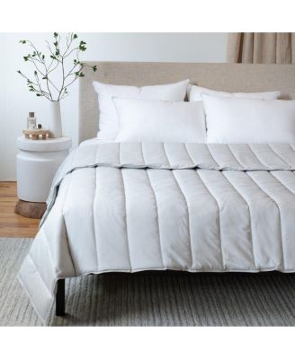 All Season Down Alternative Blanket Comforter Insert - Twin/Twin XL - White