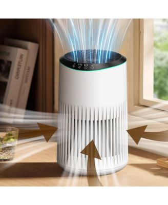 HEPA Air Purifier for Bedroom Home, With Essential Oil Diffuser, Sleep Mode, Up to 225 Sqft 2 Pack