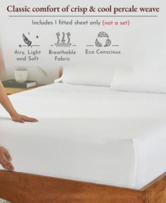 Cool Percale Organic Cotton Fitted Sheet Only, Twin XL