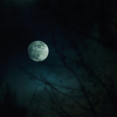 16-300mm f/3.5-6.7 DC OS Contemporary Lens for L Mount, Black