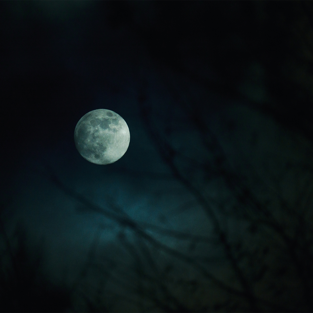 Sigma 16-300mm f/3.5-6.7 Dc Os Contemporary Lens for L Mount, Black