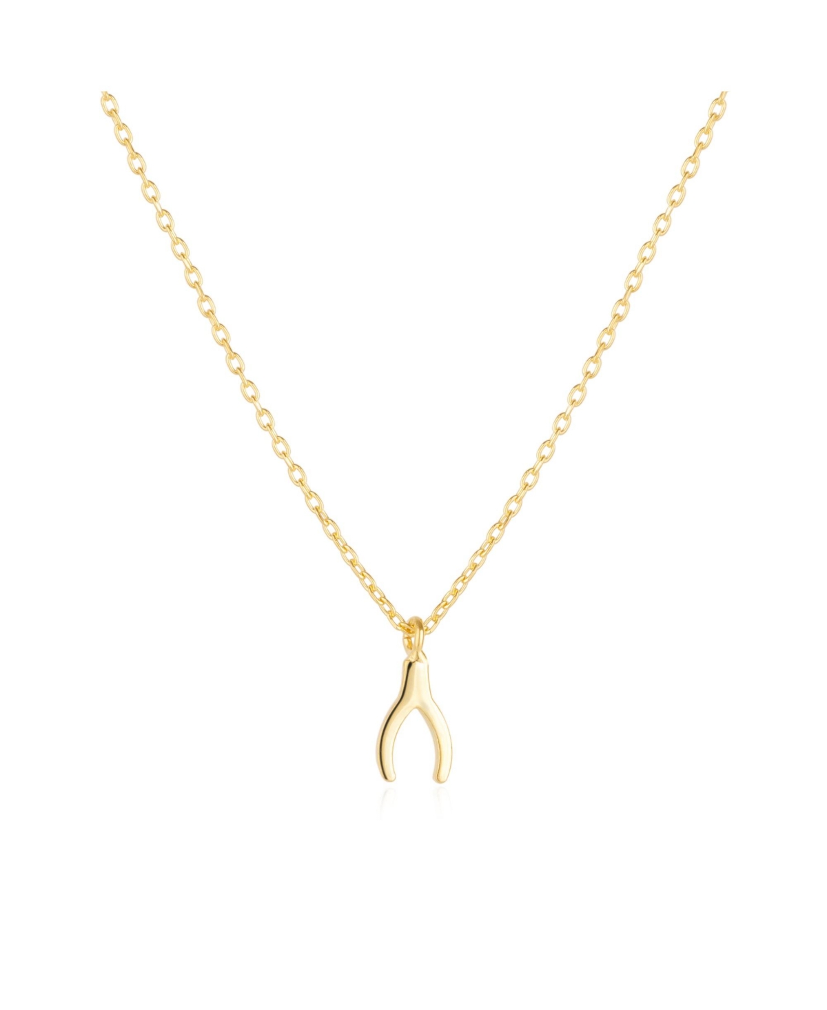 Sterling Silver Mini Wishbone Necklace - Silver