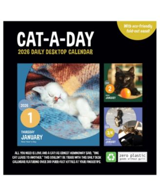 2026 Cat A Day Daily Desktop Calendar