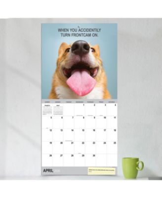 2026 Desk Dogs Wall Calendar