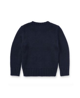 Toddler and Little Boys The Iconic Flag Sweater