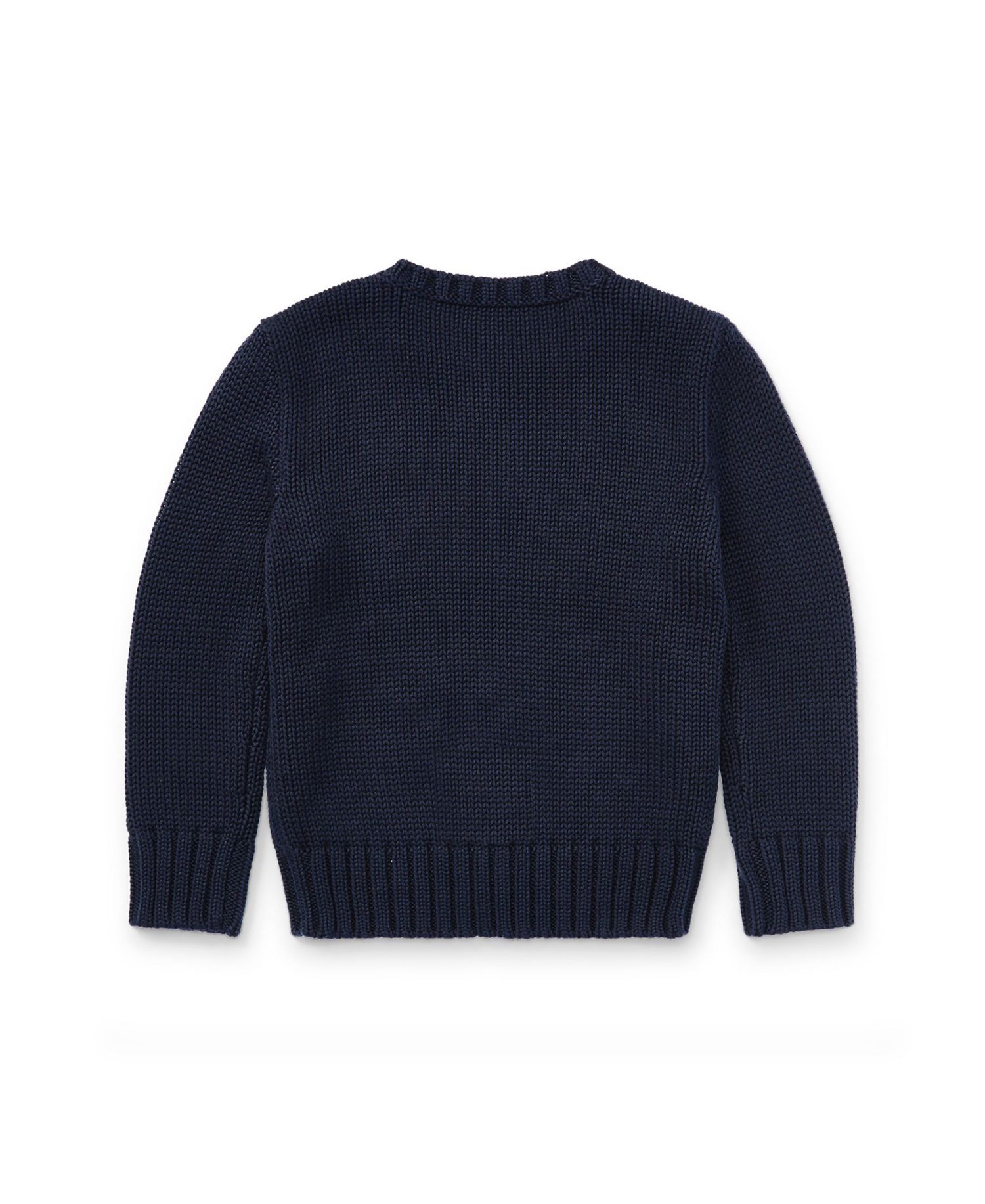 Toddler and Little Boys The Iconic Flag Sweater