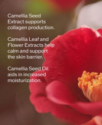 Ultimune Power Infusing Serum, 1.6 oz, First at Macy's