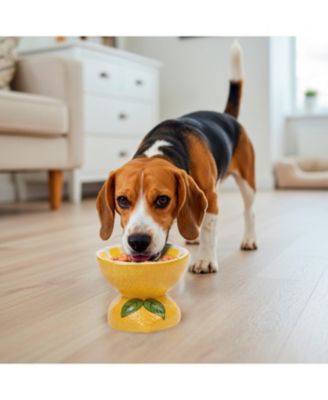 Lemon Shaped Stoneware Elevated Pet Bowl, Raised Ceramic Food & Water Dish for Dogs and Cats