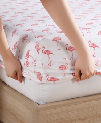 Coastal Printed 4-Pc. Sheet Set, Queen