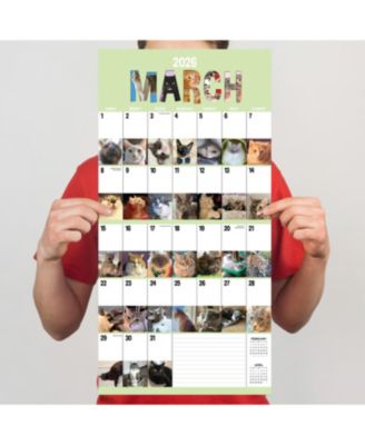 2026 Cat-A-Day Wall Calendar