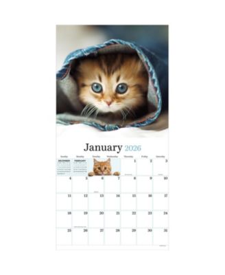 2026 Kittens Wall Calendar