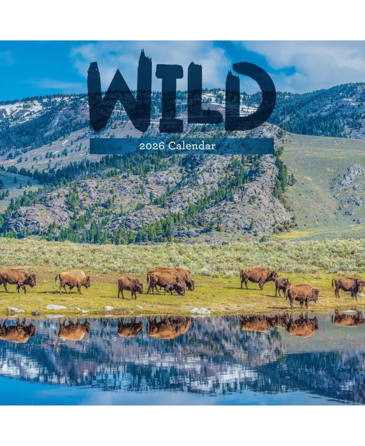 2026 Wild Wall Calendar - Multicolor
