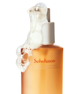 Gentle Cleansing Foam, 13.5 oz.