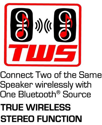 Portable 12" 3,000 Watt Bluetooth Party Speaker with Disco Light