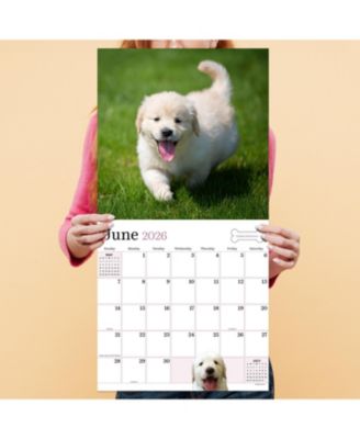 2026 Puppies Wall Calendar