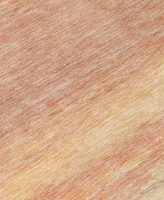 Chantille Machine Washable ACN1274 5'x7'6" Area Rug