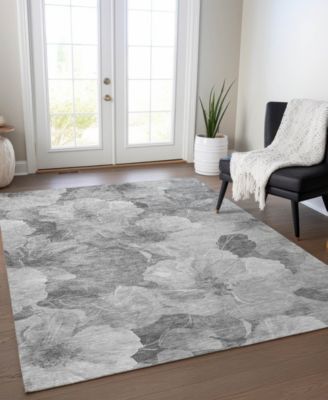 Chantille Machine Washable ACN1542 2'6"x3'10" Area Rug