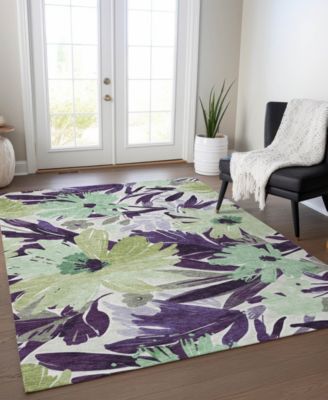 Chantille Machine Washable ACN1485 5'x7'6" Area Rug
