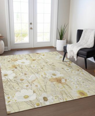 Chantille Machine Washable ACN1505 5'x7'6" Area Rug