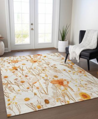 Chantille Machine Washable ACN1500 8'x10' Area Rug