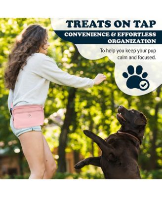 3-in-1 Dog Walk Bag, Travel Bowl, & Reflective Leash with Matching Planet-Safe Dog Poop Bags