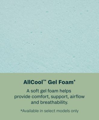 Beautysleep Bashful Lullaby 13.75" Plush Tight Top Mattress Set - Queen