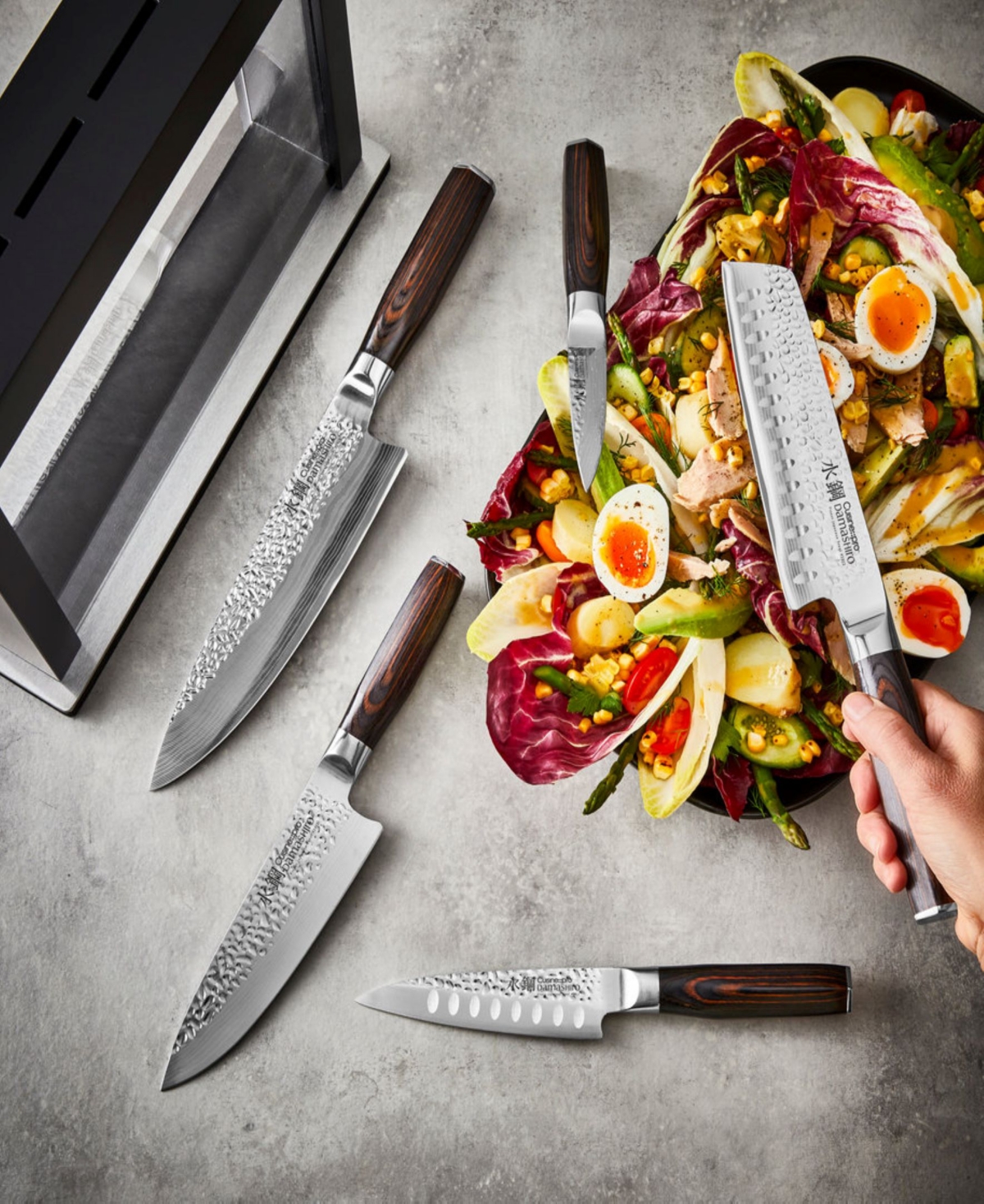 Cuisine::pro Damashiro Emperor Hisa 6-pc. Knife Block Set