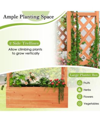 Raised Garden Bed Elevated Planter Box with Trellis and Hanging Roof