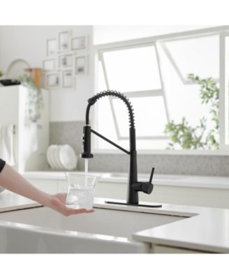 Single-Handle Pull-Down Sprayer 2 Spray High Arc Kitchen Faucet With Deck Plate