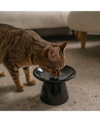 Flat Top Cat Bowl: Black
